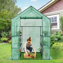 Load image into Gallery viewer, Walk-in Greenhouse 56'' x 56'' x 77'' Gardening with Observation Windows
