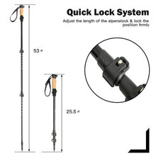 Load image into Gallery viewer, 2 Pack Adjustable Walking Hiking Poles