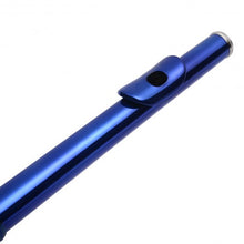 Load image into Gallery viewer, 16 Hole C Flute for Student Beginner School Band 8 Colors w/ Case New-Green