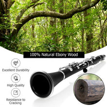 Load image into Gallery viewer, Professional Bb Clarinet Black Musical Instruments
