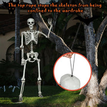 Load image into Gallery viewer, 5.4ft Halloween Skeleton Life Size Realistic Full Body Hanging
