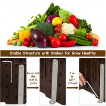 Load image into Gallery viewer, 2 PCS Raised Garden Rectangle Plant Box-Brown