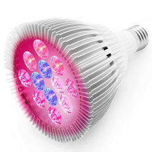 Load image into Gallery viewer, 24W E27 12 LED Grow Hydroponic Plant Garden Light Lamp Bulb
