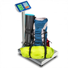 Load image into Gallery viewer, 660 lbs Weight Platform Scale Digital Floor Folding Scale