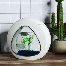 Load image into Gallery viewer, 1Gallon Fish Aquarium Tank with Filter Air Pump-White