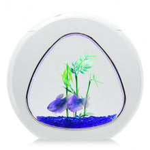 Load image into Gallery viewer, 1Gallon Fish Aquarium Tank with Filter Air Pump-White
