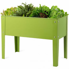 Load image into Gallery viewer, 24.5" x12.5" Outdoor Elevated Garden Plant Stand Flower Bed Box