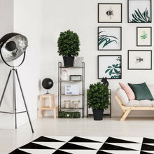 Load image into Gallery viewer, 2 pcs 24" Artificial Decoration Boxwood Topiary Ball Tree