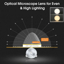 Load image into Gallery viewer, 52" Low Profile Ceiling Fan with LED Light