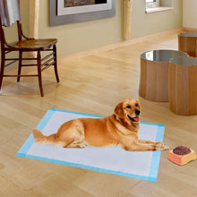 Load image into Gallery viewer, 200 pcs 24" x 24" Pet Wee Pee Piddle Pad