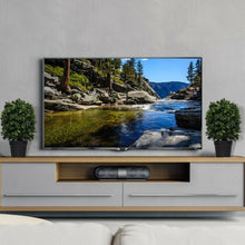 Load image into Gallery viewer, 2 pcs 24" Artificial Decoration Boxwood Topiary Ball Tree