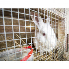 Load image into Gallery viewer, 48" x 50' 1/2inch Wire Fence Mesh Galvanized Cage Wire