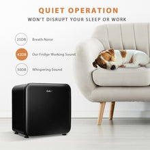 Load image into Gallery viewer, 1.6 Cubic Feet Compact Refrigerator with Reversible Door-Black