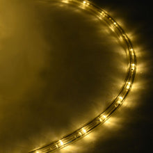 Load image into Gallery viewer, 100' 2 Wires LED Christmas Decorative Rope Light-Warm White