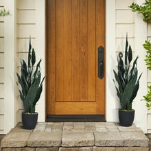 Load image into Gallery viewer, 35.5" Indoor-Outdoor Artificial Fake Snake Plant