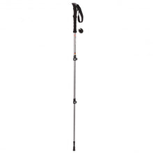 Load image into Gallery viewer, Pair 2 Trekking Walking Hiking Sticks-Gray
