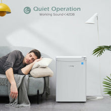 Load image into Gallery viewer, 2.5 Cu Ft Compact Single Door Refrigerator with Freezer-White