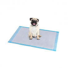 Load image into Gallery viewer, 200 pcs 24" x 24" Pet Wee Pee Piddle Pad