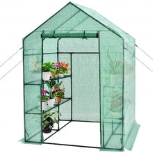 Load image into Gallery viewer, Walk-in Greenhouse 56'' x 56'' x 77'' Gardening with Observation Windows