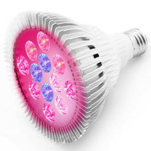 Load image into Gallery viewer, 12 LED Hydroponic Plant Garden Red Blue Light Lamp Bulb