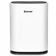 Load image into Gallery viewer, 4-in-1 Composite Ionic Air Purifier with HEPA Filter