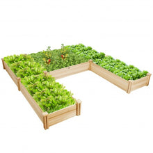 Load image into Gallery viewer, U-Shaped Wooden Garden Raised Bed for Backyard and Patio