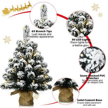 Load image into Gallery viewer, 24" Pre-Lit Snow Flocked Tabletop LED Light Christmas Tree