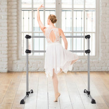 Load image into Gallery viewer, 4 Feet Portable Double Freestanding Barre Dancing Stretching-Silver
