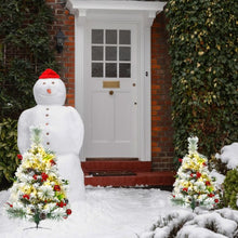 Load image into Gallery viewer, Set of 2 Outdoor 24in Battery Powered Pre-lit Pathway Flocked Christmas Trees