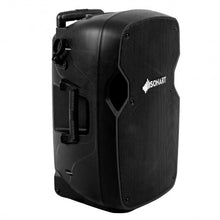Load image into Gallery viewer, Portable 12" 2-way 600 W Bluetooth Music Rechargeable Powered Speaker