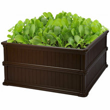 Load image into Gallery viewer, 2 PCS Raised Garden Rectangle Plant Box-Brown