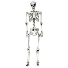 Load image into Gallery viewer, 5.4ft Halloween Skeleton Life Size Realistic Full Body Hanging
