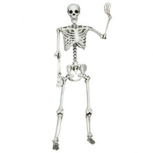 Load image into Gallery viewer, 5.4ft Halloween Skeleton Life Size Realistic Full Body Hanging