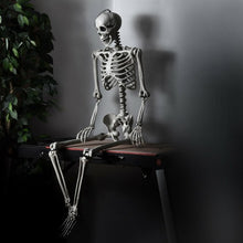 Load image into Gallery viewer, 5.4ft Halloween Skeleton Life Size Realistic Full Body Hanging