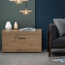 Load image into Gallery viewer, Shoe Rack Storage Chest for Entryway