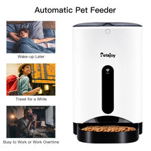 Load image into Gallery viewer, APP Automatic Remote Control Timer Pet Food Dispenser