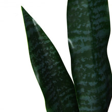Load image into Gallery viewer, 35.5" Indoor-Outdoor Artificial Fake Snake Plant