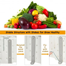 Load image into Gallery viewer, 2 PCS Raised Garden Rectangle Plant Box-White