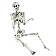 Load image into Gallery viewer, 5.4ft Halloween Skeleton Life Size Realistic Full Body Hanging