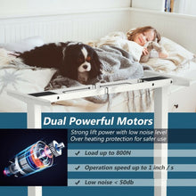 Load image into Gallery viewer, Electric Adjustable Standing up Desk Frame Dual Motor with Controller-White