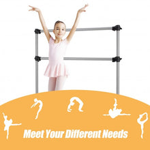 Load image into Gallery viewer, 4 Feet Portable Double Freestanding Barre Dancing Stretching-Silver