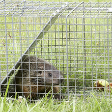Load image into Gallery viewer, 48" x 50' 1/2inch Wire Fence Mesh Galvanized Cage Wire