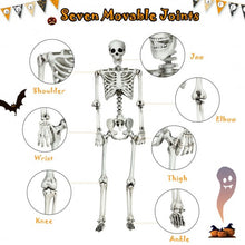 Load image into Gallery viewer, 5.4ft Halloween Skeleton Life Size Realistic Full Body Hanging