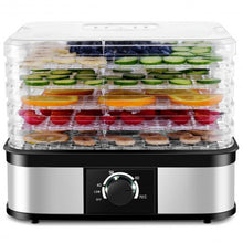 Load image into Gallery viewer, 5 Tray Temperature Control Fruit Vegetable Dryer
