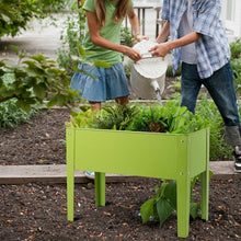 Load image into Gallery viewer, 24.5" x12.5" Outdoor Elevated Garden Plant Stand Flower Bed Box