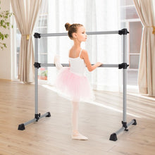 Load image into Gallery viewer, 4 Feet Portable Double Freestanding Barre Dancing Stretching-Silver