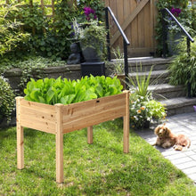 Load image into Gallery viewer, Wooden Raised Vegetable Garden Bed