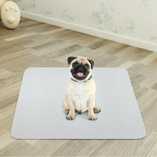 Load image into Gallery viewer, 4 pcs Washable Underpads Reusable Bed Pads Waterproof Incontinence