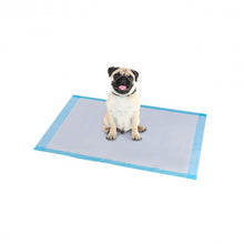 Load image into Gallery viewer, 300 pcs 17" x 24" Pet Wee Pee Piddle Pad