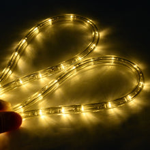 Load image into Gallery viewer, 100' 2 Wires LED Christmas Decorative Rope Light-Warm White